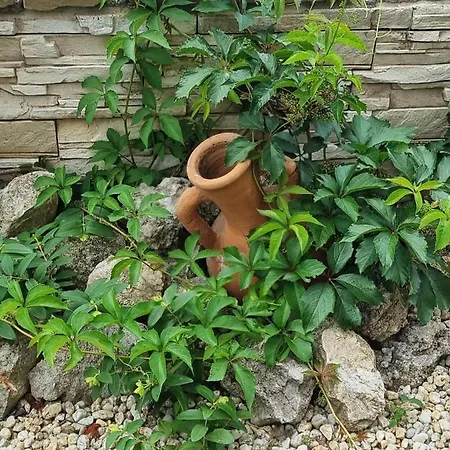 Апартамент Domus Extra