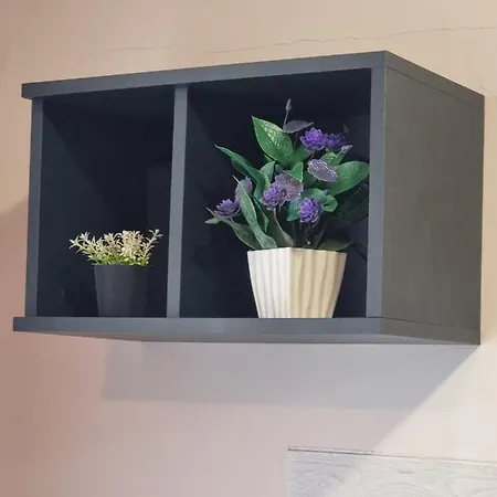 Apartment Domus Extra *