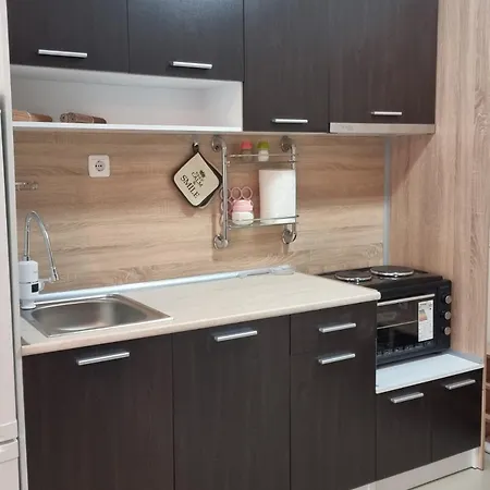Appartement Domus Spacious Sveti Vlas