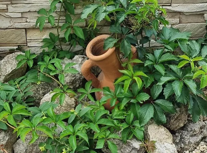 Lejlighed Domus Extra